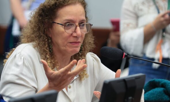 Parlamentares governistas vão aos EUA apresentar contraponto à direita