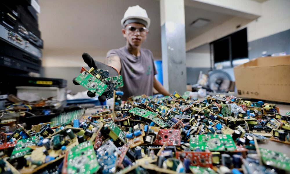 Do descarte à oportunidade: pequenos negócios impulsionam a economia verde em Goiás