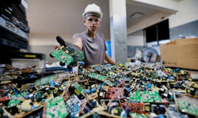 Do descarte à oportunidade: pequenos negócios impulsionam a economia verde em Goiás