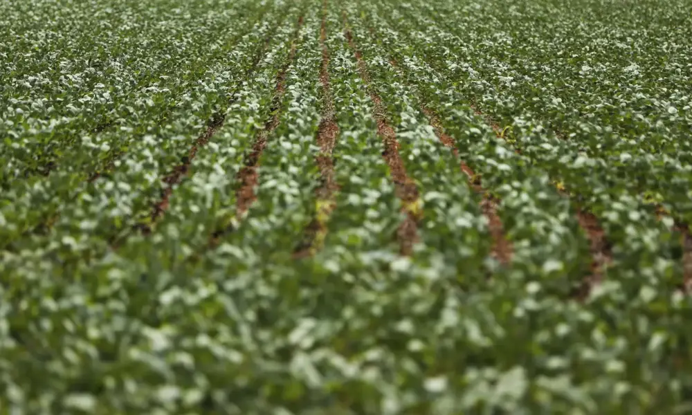Reunião com bancada do agro termina sem acordo sobre dívidas rurais