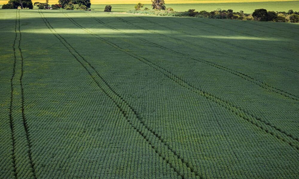 Senado aprova plano para fabricação de fertilizantes no Brasil