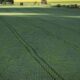 Senado aprova plano para fabricação de fertilizantes no Brasil
