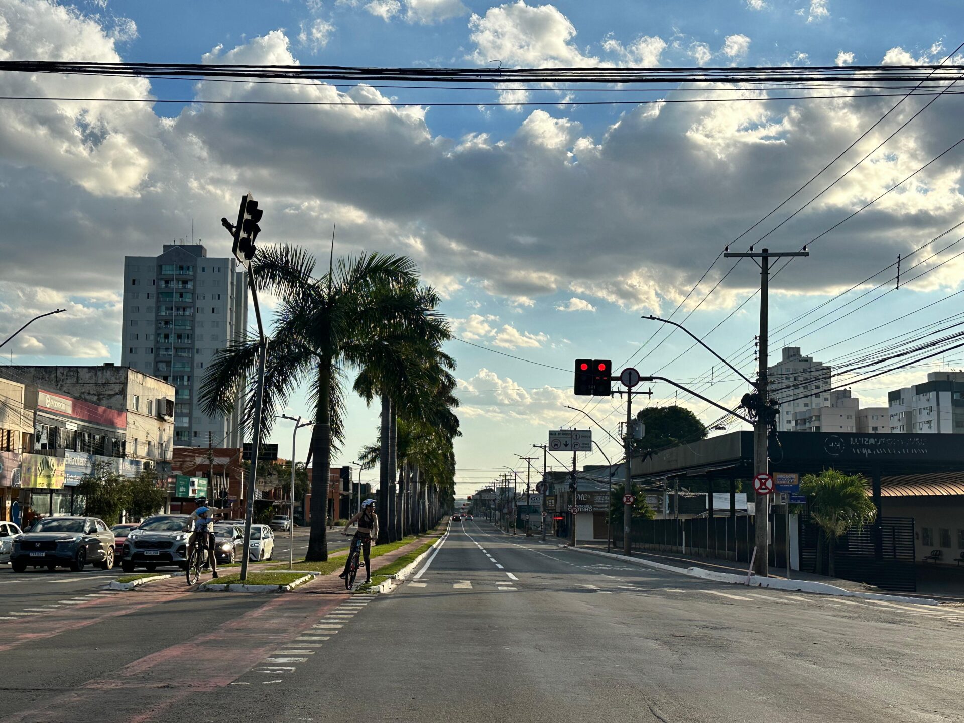 Goiânia prepara licitação para revitalizar T-63 com novo paisagismo
