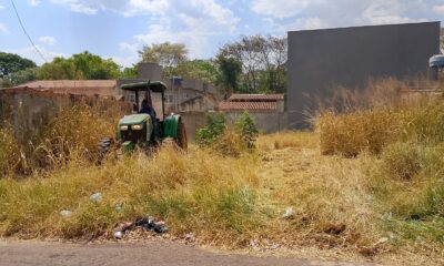 Donos de lotes devem pagar Prefeitura de Goiânia após limpeza de cerca de 800 áreas