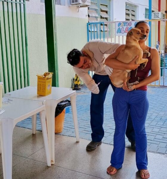 Goiânia terá 166 pontos de vacinação antirrábica neste sábado